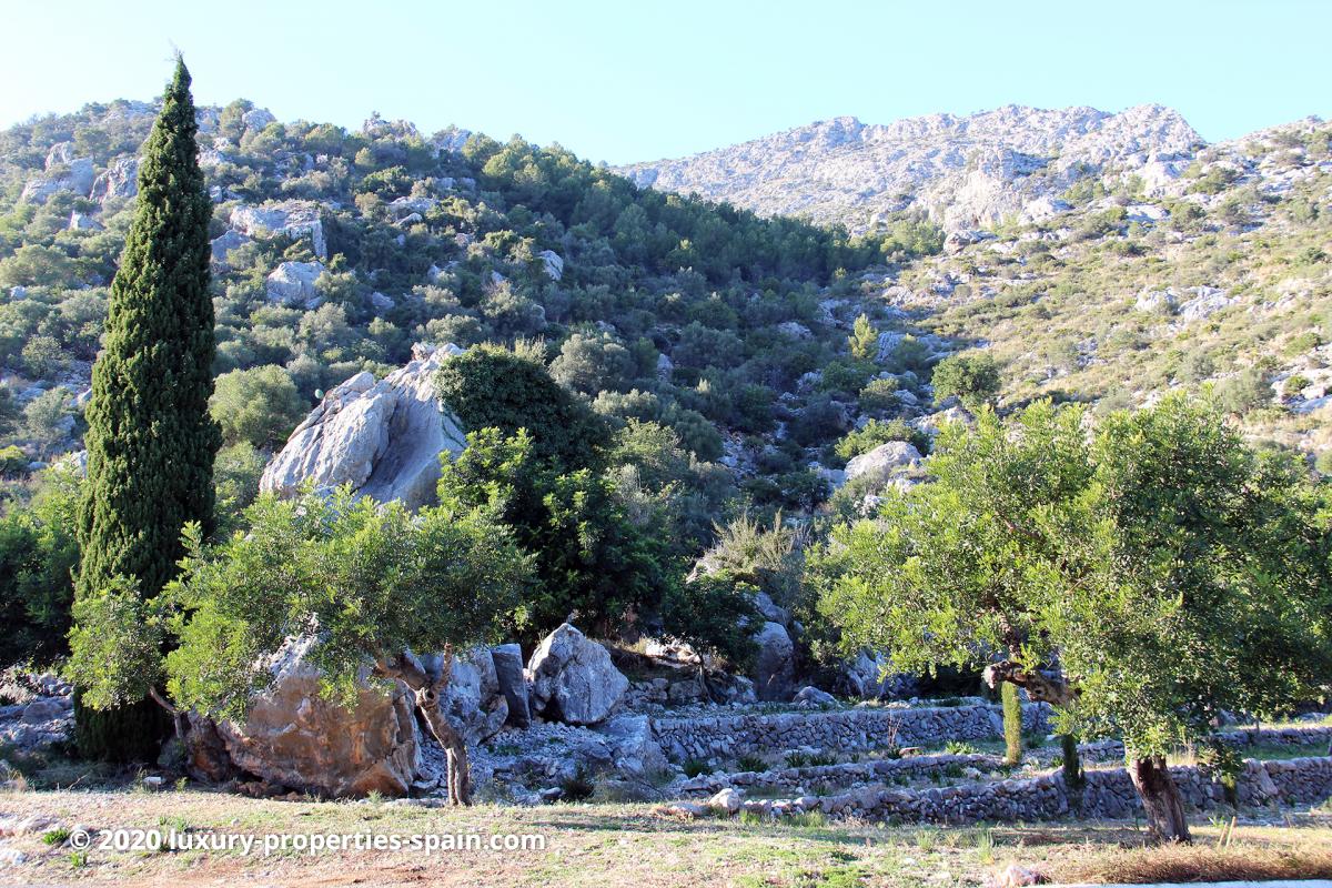 Acheter sur la Costa Blanca - Tormos